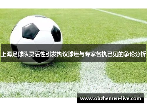 上海足球队灵活性引发热议球迷与专家各执己见的争论分析
